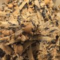 くまごり's cooksnap of when they made ごぼうと豆のサラダ♪乾燥ごぼうでお手軽.