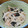 凪なぎ's cooksnap of when they made ∮ 長芋のさっぱり梅肉和え ∮.