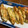 Amepyon's cooksnap of when they made 【焼くだけ！】焼きなすのおいしい焼き方.