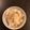 猫リン's cooksnap of when they made プロから伝授♪「松茸ご飯」.