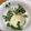 かかし79's cooksnap of when they made クレソン農家絶賛の秘密のサラダ☆.