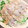 みきてい6234's cooksnap of when they made 10分で完成！豚肉ともやしのレンジ蒸し.