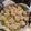 ♡たたこ♡'s cooksnap of when they made 簡単！材料３つのフライパン焼売★写真付.