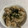 クックPTUYOP☆'s cooksnap of when they made きのこたっぷり炊き込みご飯.