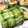 miyuki220's cooksnap of when they made きゅうりの飾り巻き（巻き寿司）.