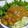 korochiro's cooksnap of when they made ダイエットに★カレーキャベツ.