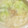 okazakana's cooksnap of when they made 白菜バラ肉煮込みうどん➕塩旨ちょい辛味.