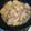 クックF37TJP☆'s cooksnap of when they made すし酢だけで！まさかの照り焼きチキン.