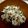 クックMTD1Y9☆'s cooksnap of when they made 離乳食☆後期　シラスチャーハン.