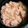 はまー１２２９'s cooksnap of when they made 大根とツナの炊き込みご飯♪.