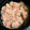 はまー１２２９'s cooksnap of when they made 大根とツナの炊き込みご飯♪.