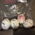 世界一からエミリー's cooksnap of when they made うずら卵のゆかりピクルス★.