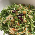陸ケミ's cooksnap of when they made ごま風味 炒めきのこと豆苗のサラダ.