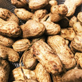 クックMQO5SL☆'s cooksnap of when they made 生落花生を茹でる.