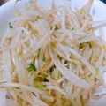 momocookin's cooksnap of when they made 簡単☆美味しい♪もやしの牛脂炒め.