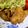 クックADLFEA☆'s cooksnap of when they made 豚ヒレ肉のソテー☆たっぷりキノコソース.
