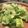 PoodleMom's cooksnap of when they made 信州りんごとオレンジのドレッシング.