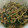 クック美月's cooksnap of when they made きのこの和風スパゲティ.