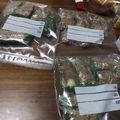 きょうたまご's cooksnap of when they made ピーマンの肉詰めもレンジで簡単.