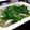 きょうたまご's cooksnap of when they made 餃子鍋.
