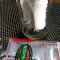 ジョングレ's cooksnap of when they made 生バジル長持ち保存方法.