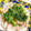 りんでありんす's cooksnap of when they made 蒸し鶏のネギソースかけ(白切鶏).