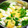 土方ともこ's cooksnap of when they made 簡単！白だしde卵のお吸い物.