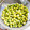 307号室's cooksnap of when they made 銀杏の下準備と保存.