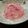 七草佳夕's cooksnap of when they made 材料は2つだけ。水切りヨーグルトアイス。.
