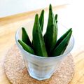 azbjbn's cooksnap of when they made おくらの保存.