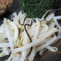 おにぎりママ's cooksnap of when they made たっぷり食べたい★モヤシの塩昆布和え♪.