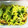 モモとゲンのママ's cooksnap of when they made じゃがいもとしめじのカレーマヨ炒め.