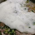 ものぐさtakky's cooksnap of when they made 大根おろしたっぷり、豚バラ肉の雪見鍋.