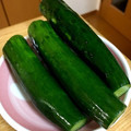 ネギがお好き's cooksnap of when they made やみつき！！きゅうりの一本漬け.