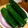 ネギがお好き's cooksnap of when they made やみつき！！きゅうりの一本漬け.