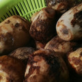 ふぁんたにゃん's cooksnap of when they made 塩で旨い♡茹で里芋 手がカユクならない！.