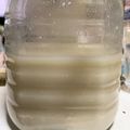 凜音ぷ's cooksnap of when they made 酒粕で自家製酵母.