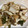 papikun's cooksnap of when they made キャベツと厚揚げのオイスター炒め.