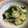 ナップ99's cooksnap of when they made しらたきときゅうりの酢の物.