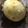 ma___111's cooksnap of when they made 焼肉のたれで 味付けたまご.