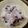 いちじっく's cooksnap of when they made ただ炊くだけ♪小豆ご飯.