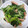 かたこひ's cooksnap of when they made からし菜と魚肉ソーセージの味噌マヨ和え.