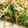 クックHJB3B6☆'s cooksnap of when they made 水菜とカニかまの白和え風サラダ.