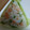 あゆたっくん's cooksnap of when they made 鮭フレークと青じその混ぜご飯♪.