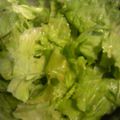 まいcom's cooksnap of when they made ごま塩レタス.