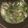ミーヤくん's cooksnap of when they made あさりとﾆﾝﾆｸのスープ【簡単☆滋味】.