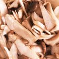 くっくるん0409's cooksnap of when they made レンジで簡単♪エリンギのナムル.