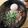 猫まんま☆'s cooksnap of when they made 残った煮汁で絶品ラーメン♪簡単5分ランチ.