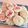 ゆゆばなな's cooksnap of when they made 卵不使用☆スイートポテトおやき.