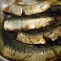 ひよこ.２３'s cooksnap of when they made 圧力鍋☆骨まで食べるいわしのバルサミコ煮.
